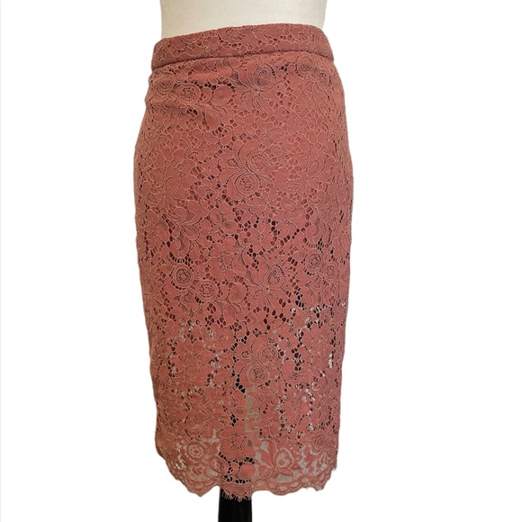❤️🔥3/$22❤️🔥 Dusty pink lace skirt with lining - Picture 5 of 13